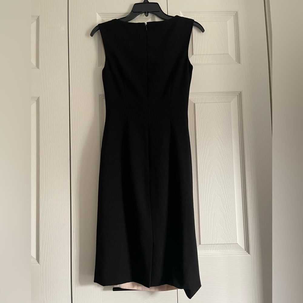 Antonio Melanie blush two tone dress - Picture 3 of 7